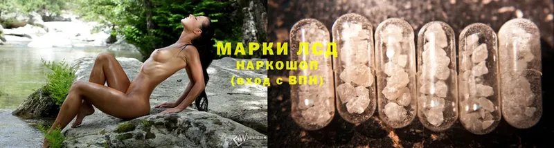 маркетплейс клад  МЕГА зеркало  Белая Холуница  как найти   Лсд 25 экстази ecstasy 